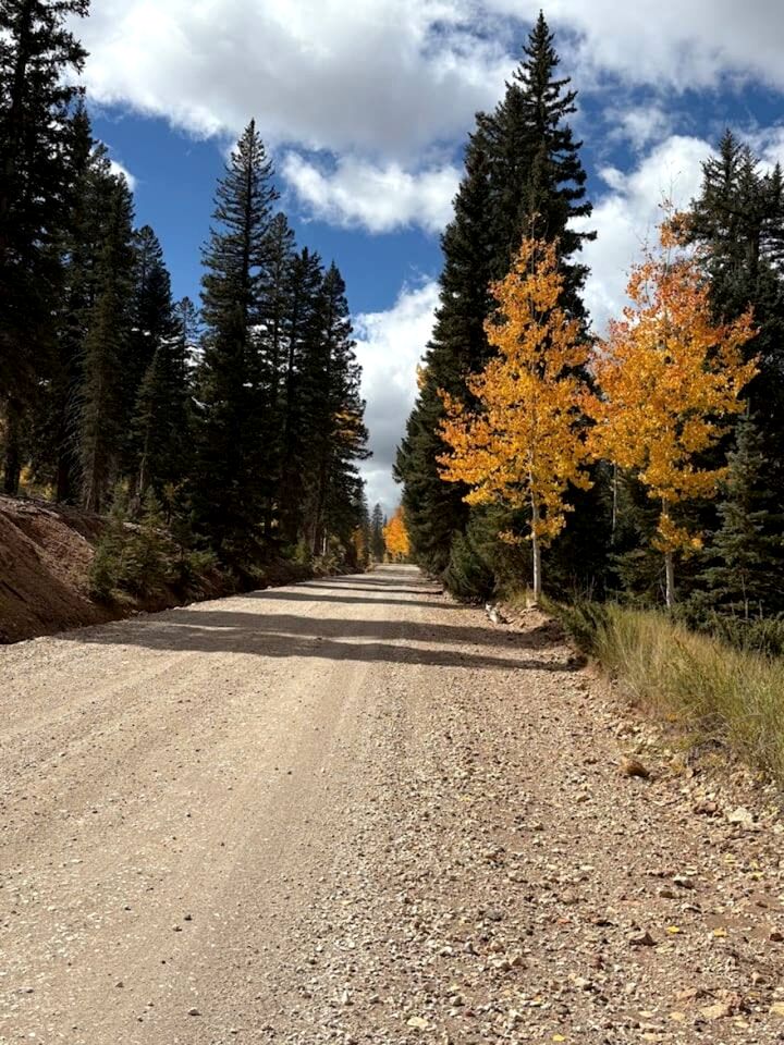 Spacious Family-Friendly Cabin with Pet-Friendly Dog Run & Supercharger Near Bryce Canyon, Alton, UT