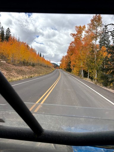 Cabins (United States of America, Alton, Utah)