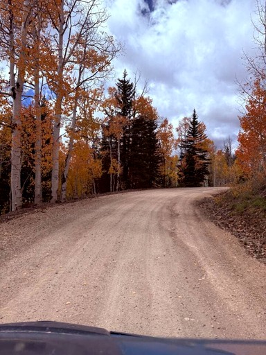 Cabins (United States of America, Alton, Utah)