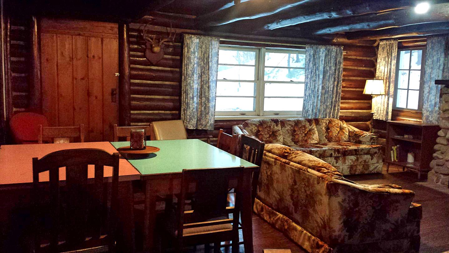 Spacious Family-Friendly Log Cabin with Lake Views near Cadillac, Michigan