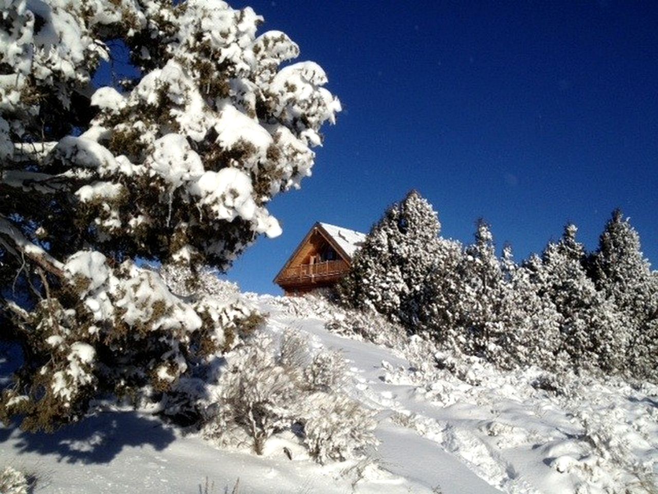 Spacious, Inviting Log Cabin Encircled by Wildlife in Utah