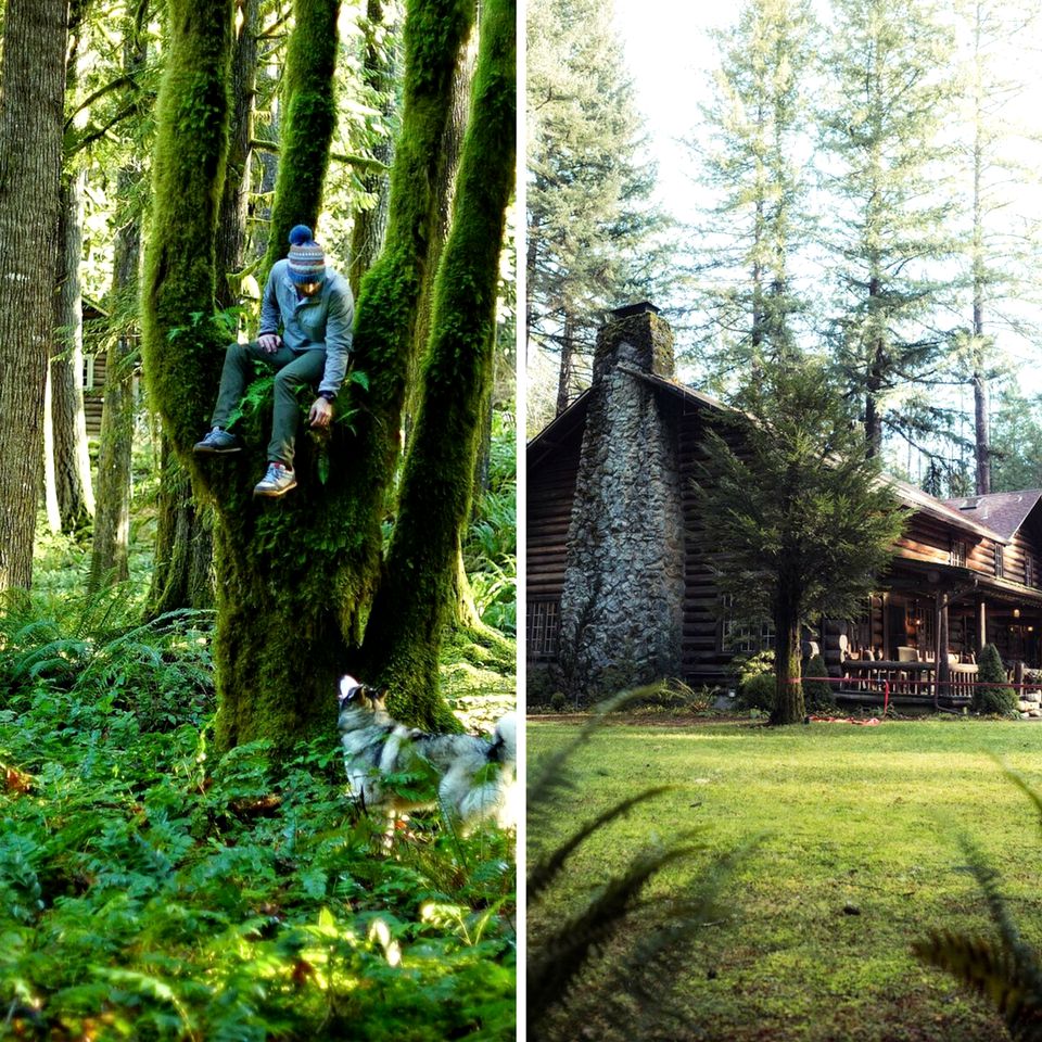 Spacious and Luxurious Log Cabin for Groups near Eugene, Oregon