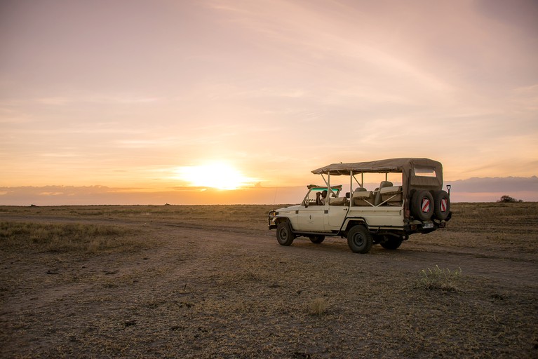 Safari Tents (Maswa Game Reserve, Shinyanga Region, Tanzania)