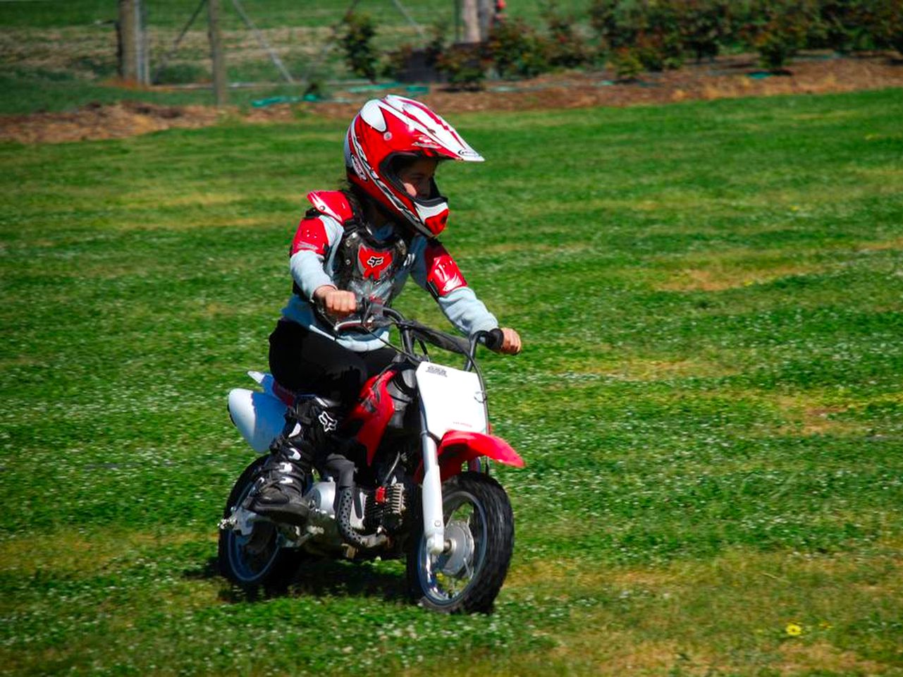 Spacious Oxley Accommodation for a Fun-Filled Farm Stay, Victoria