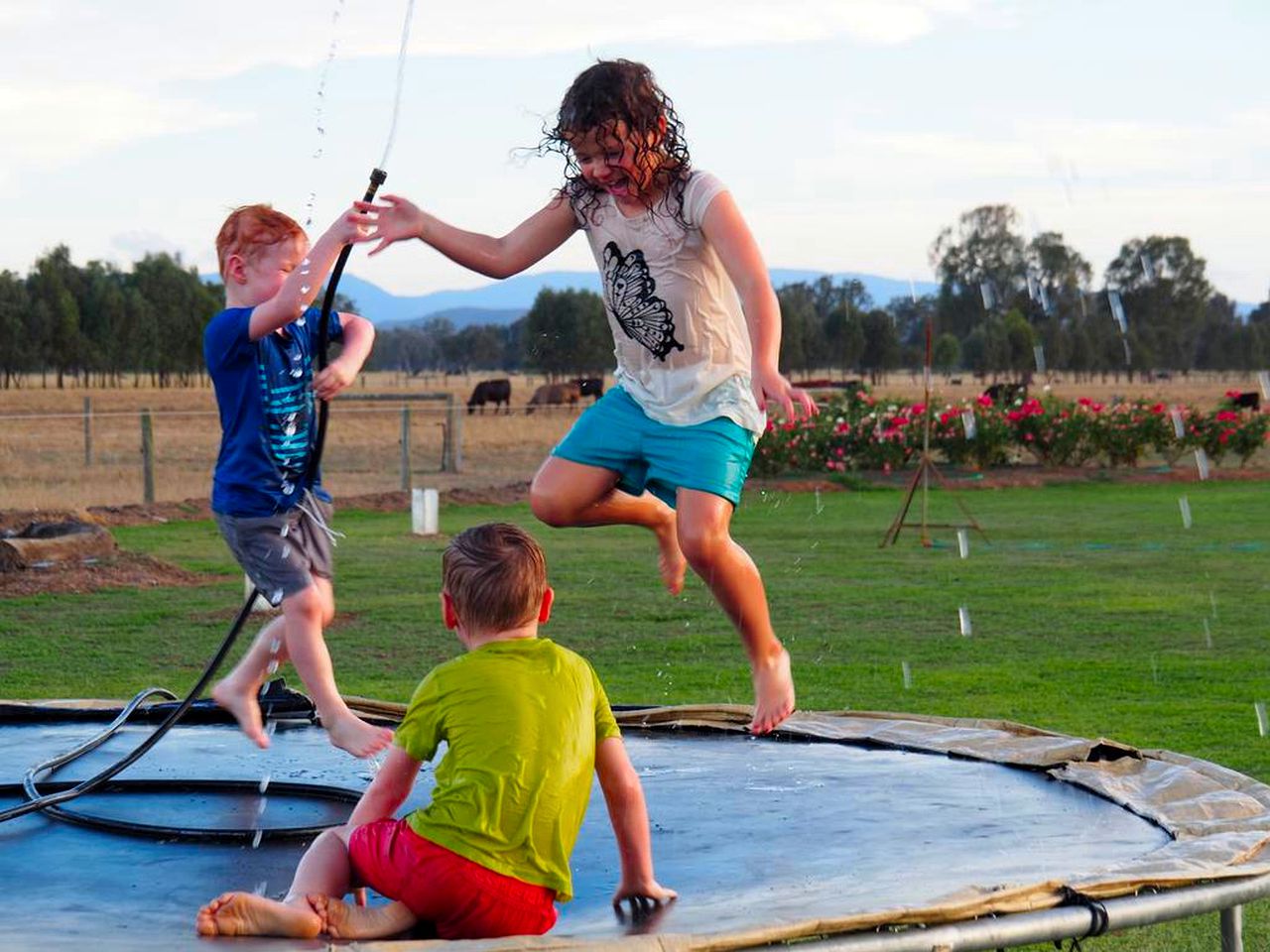 Spacious Oxley Accommodation for a Fun-Filled Farm Stay, Victoria