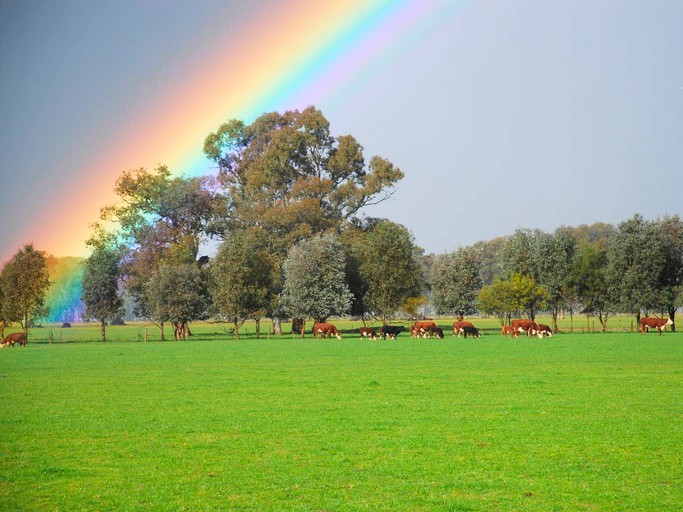 Cottages (Oxley, Victoria, Australia)