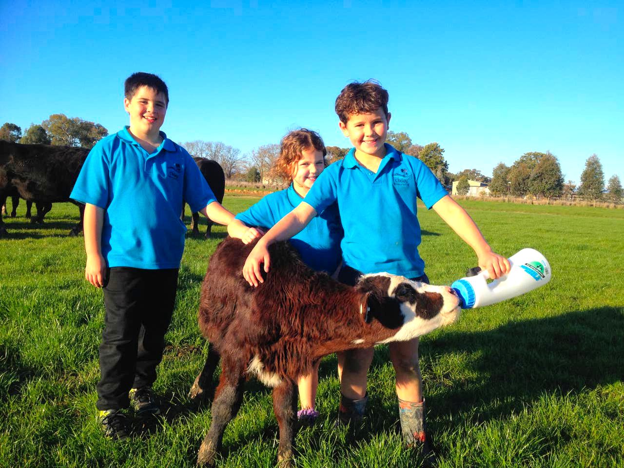 Spacious Oxley Accommodation for a Fun-Filled Farm Stay, Victoria