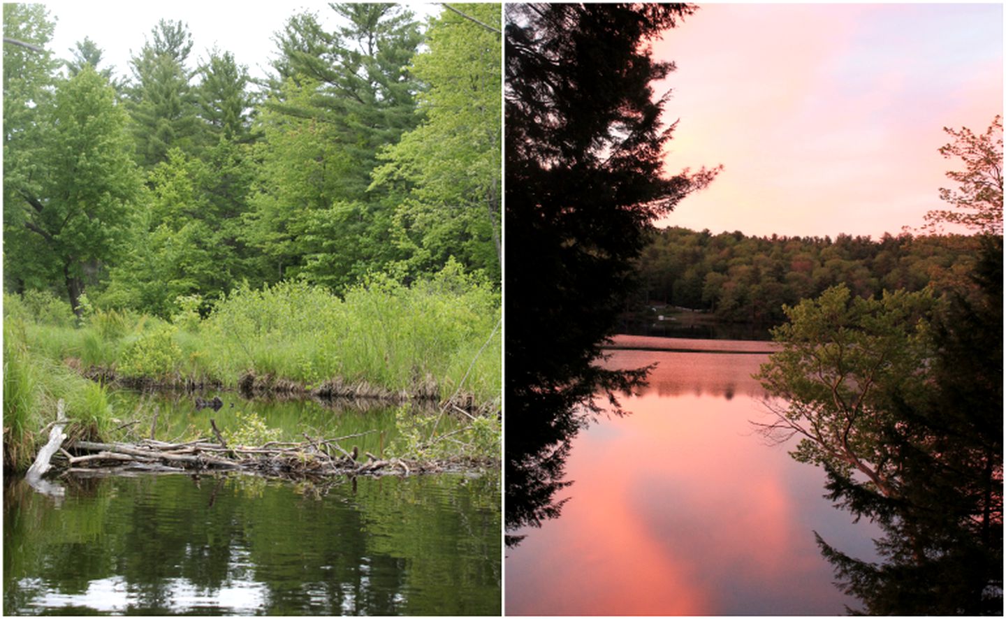 Spacious New England Family Cabin Rental in Pittsfield, New Hampshire