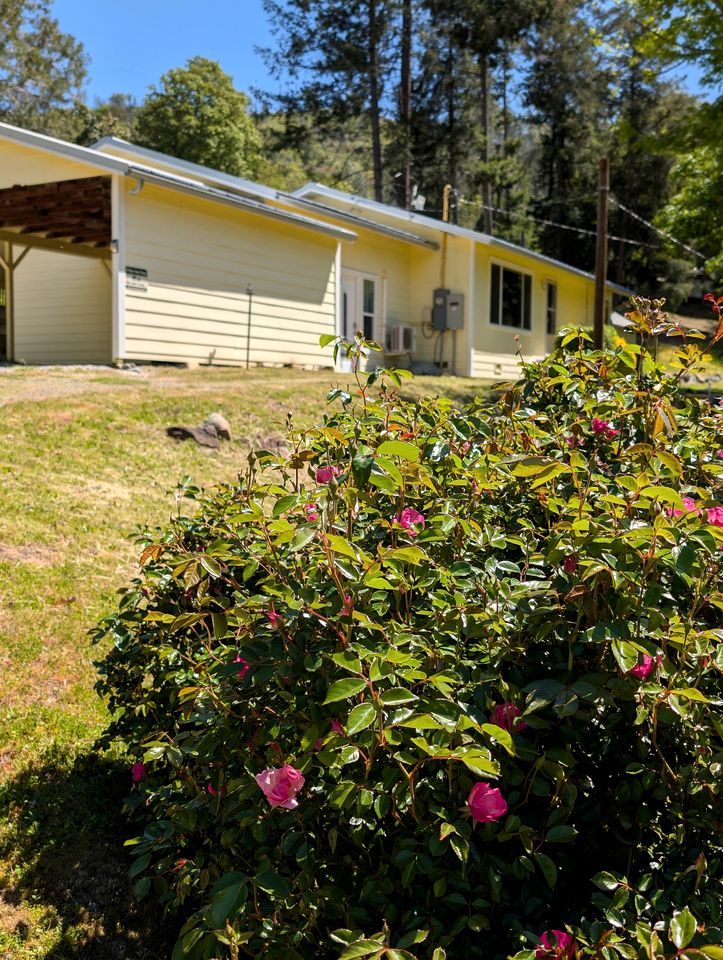Spacious and Pet-Friendly Sunny Yellow Cabin for a Wonderful Escape by the Trinity River in California