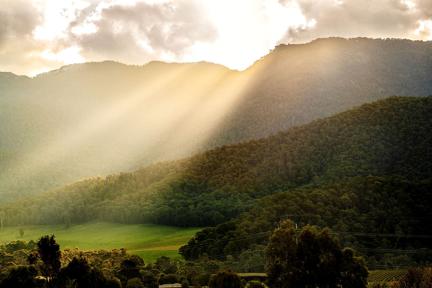 Romantic Studio Cabin for Luxury Getaway with Breakfast next to Mount Buffalo