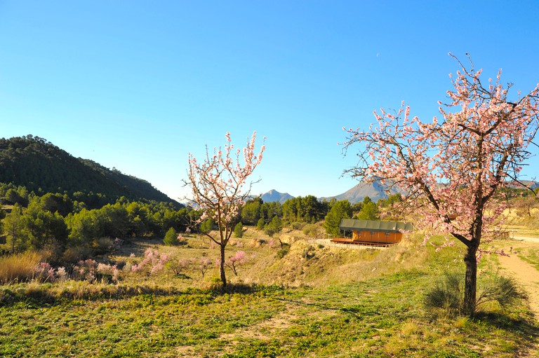 Safari Tents (Jijona, Valencia, Spain)