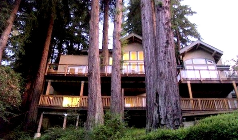 Tree Houses (Mill Valley, California, United States)