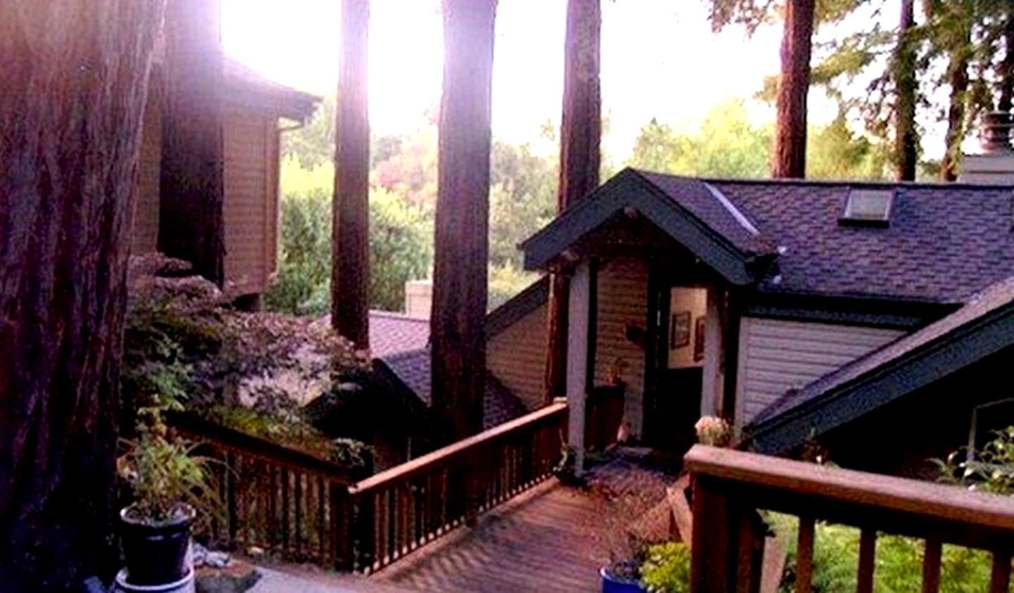 Spacious, Upscale Tree House in California, 15 Minutes from Golden Gate Bridge