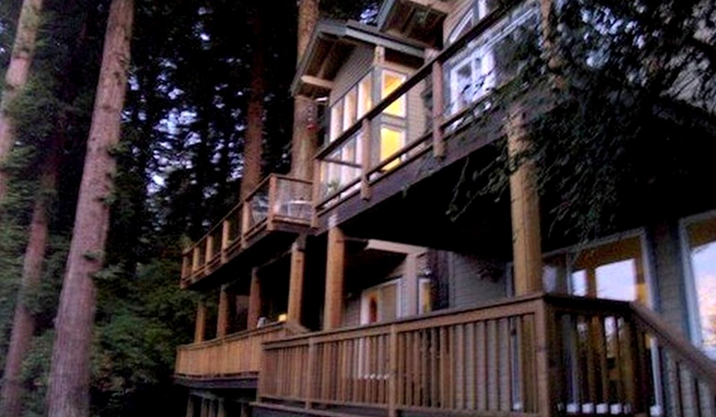 Spacious, Upscale Tree House in California, 15 Minutes from Golden Gate Bridge