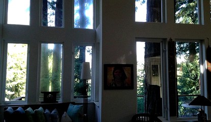 undefined photo 5