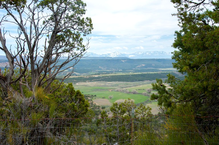 Yurts (Cedaredge, Colorado, United States)