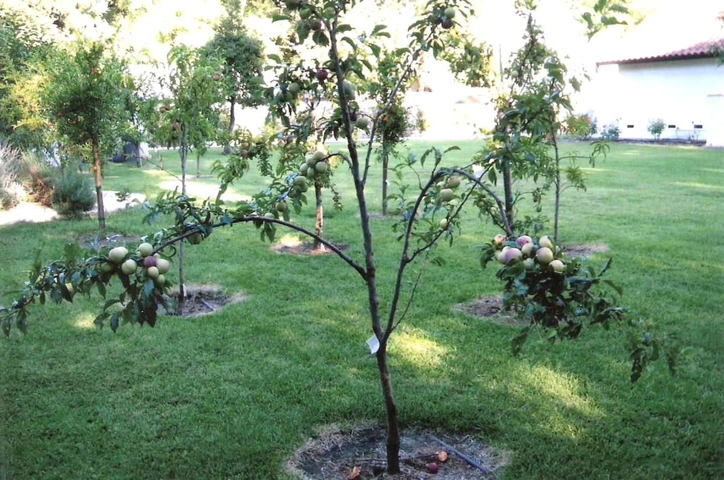 Romantic Getaway in a Spanish Villa in the Heart of Napa Valley, California