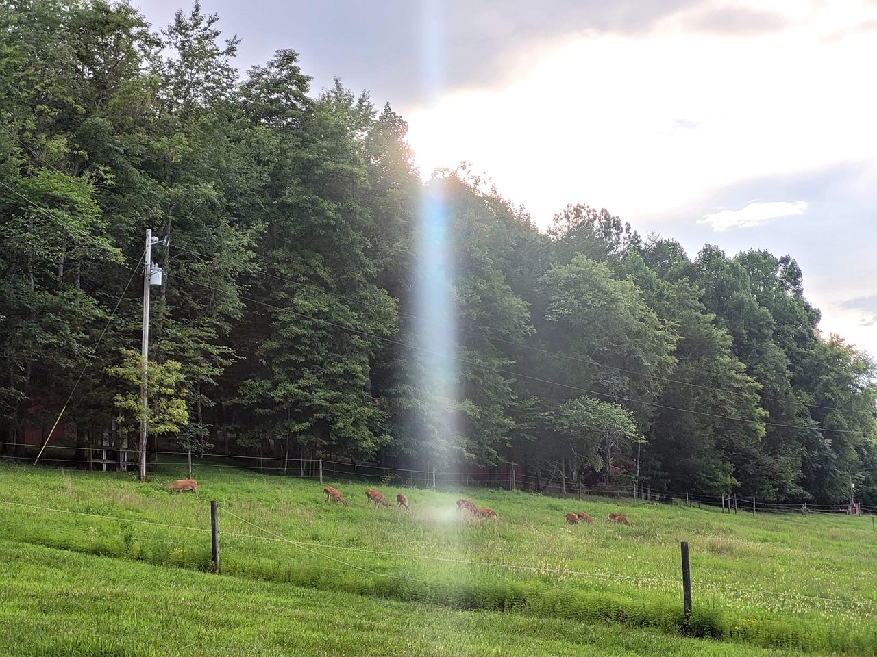 Sparta's Hidden Gem: Unique Views Cabin for an Intimate Escape