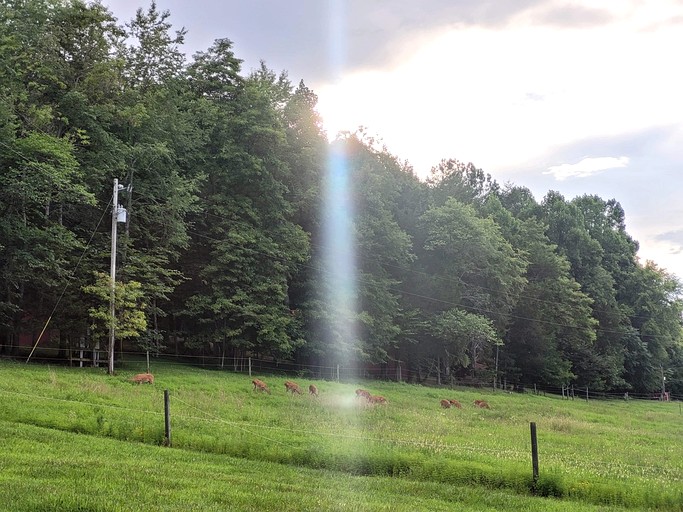 Cabins (United States of America, Sparta, Tennessee)