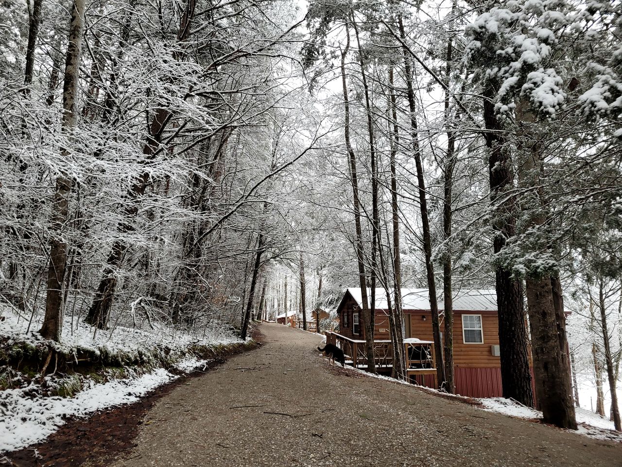 Sparta's Hidden Gem: Unique Views Cabin for an Intimate Escape