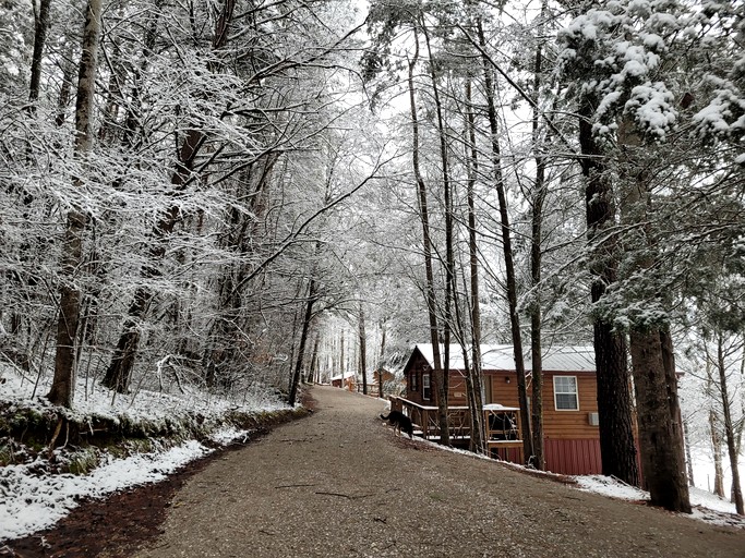 Cabins (United States of America, Sparta, Tennessee)