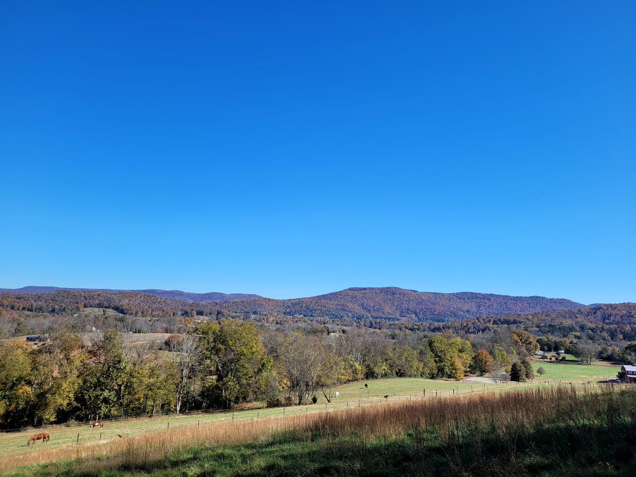 Sparta's Hidden Gem: Unique Views Cabin for an Intimate Escape