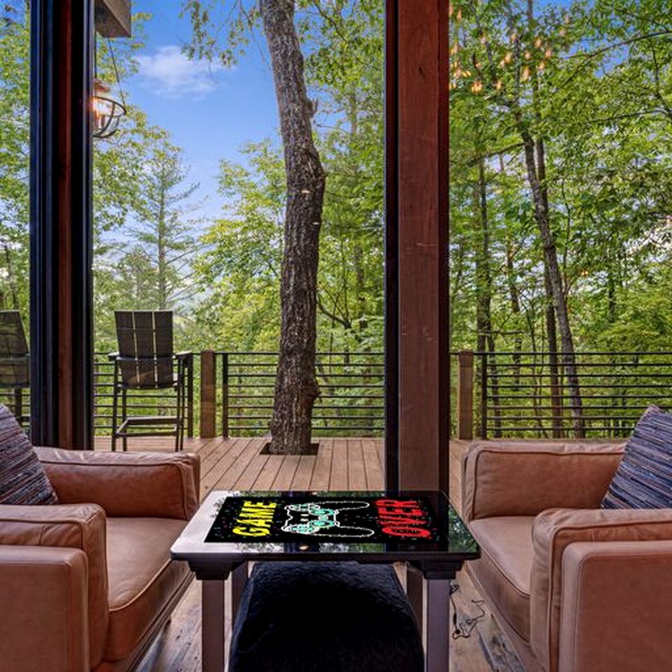 Spectacular Cabin with Incredible Living Areas Cherry Log, Georgia