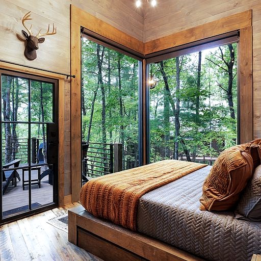 Cabins (United States of America, Cherry Log, Georgia)