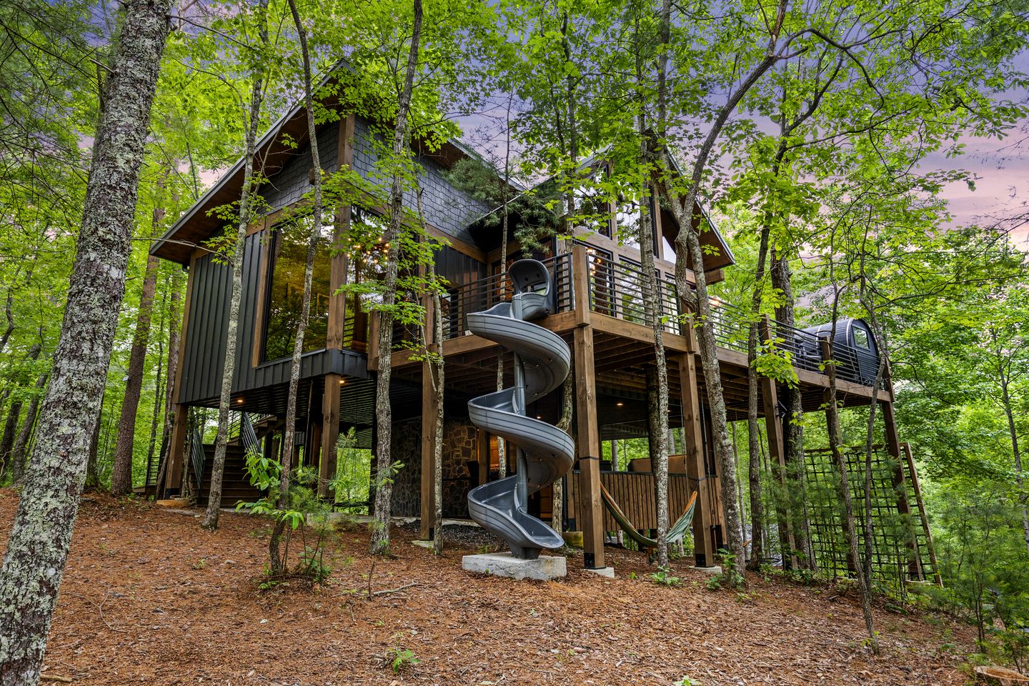 Spectacular Cabin with Incredible Living Areas Cherry Log, Georgia