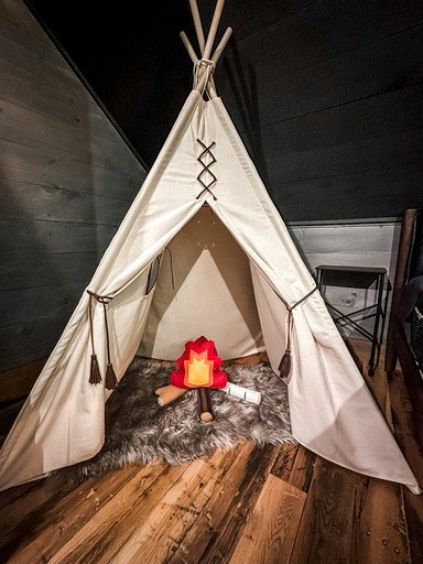 Cabins (United States of America, Cherry Log, Georgia)