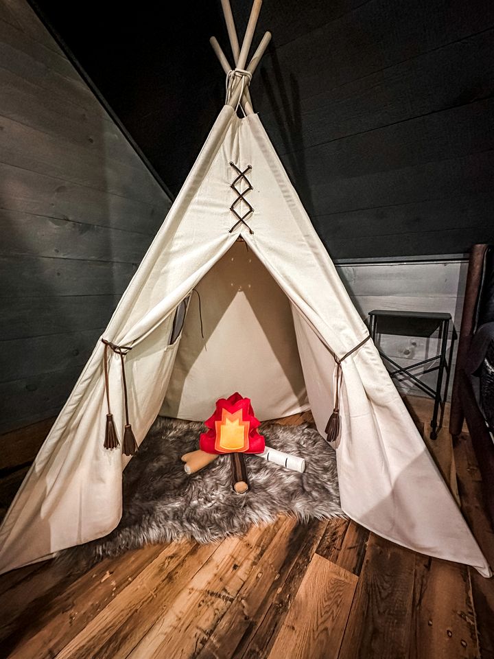 Spectacular Cabin with Incredible Living Areas Cherry Log, Georgia