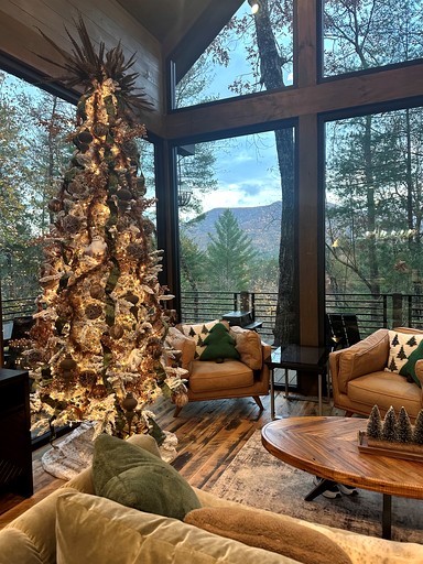 Cabins (United States of America, Cherry Log, Georgia)