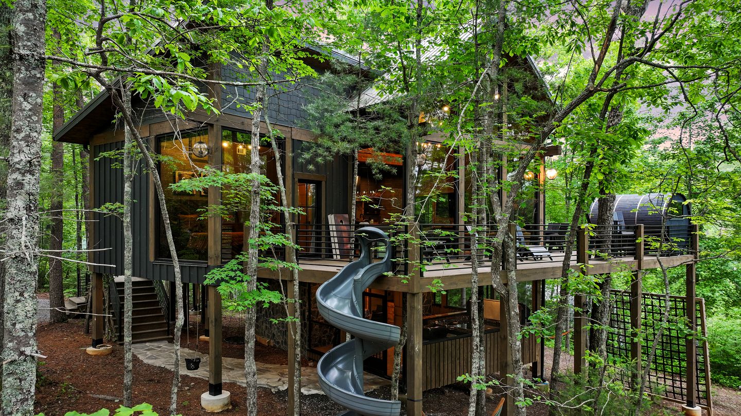 Spectacular Cabin with Incredible Living Areas Cherry Log, Georgia