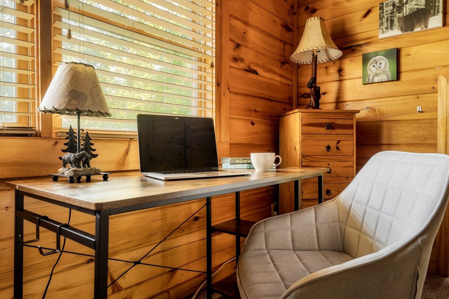 Spectacular Cabin Surrounded by Trees in Pigeon Forge, Tennessee