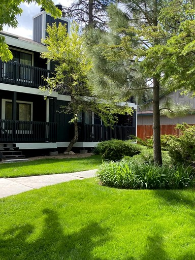 Cottages (United States of America, Big Bear Lake, California)