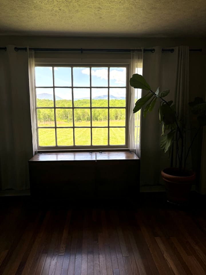 Spectacular Cottage with Incredible Forest Sights in Bedford, Virginia