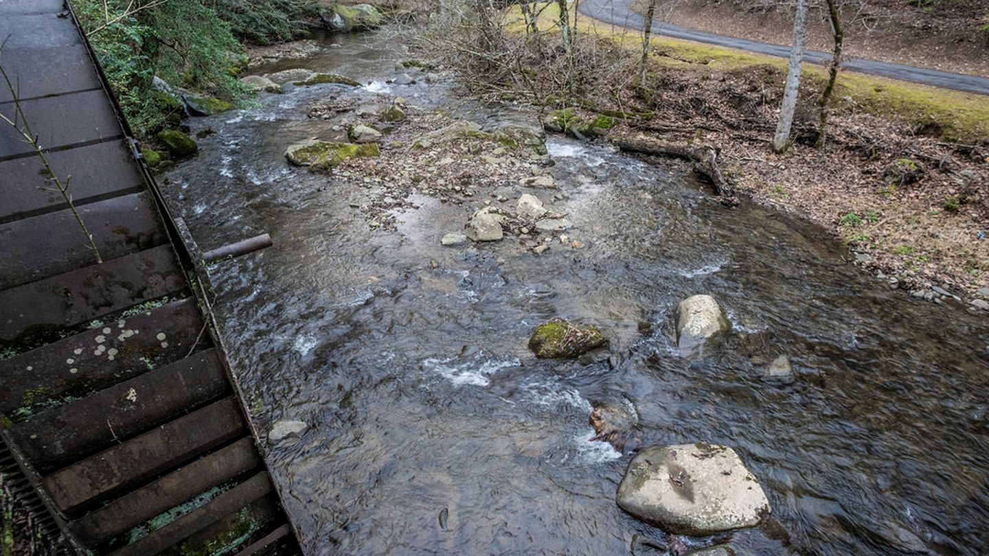 Spectacular Creekfront Cabin with Hot-tub in Gatlinburg, Tennessee