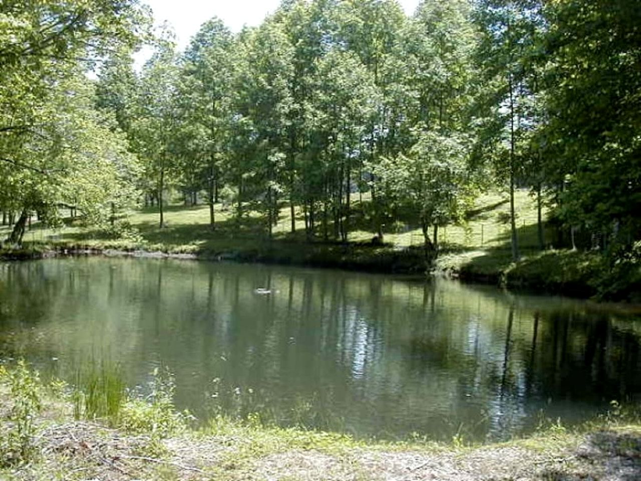 Spectacular Creekfront Cabin with Hot-tub in Gatlinburg, Tennessee