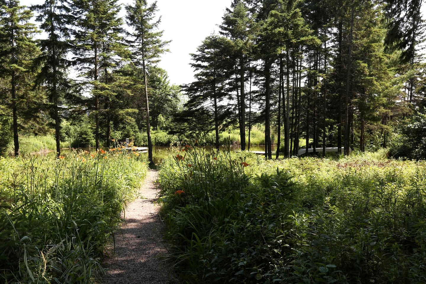 Four-Bedroom Luxury Vacation Rental on 80 Private Acres near Granite Peak, Wisconsin