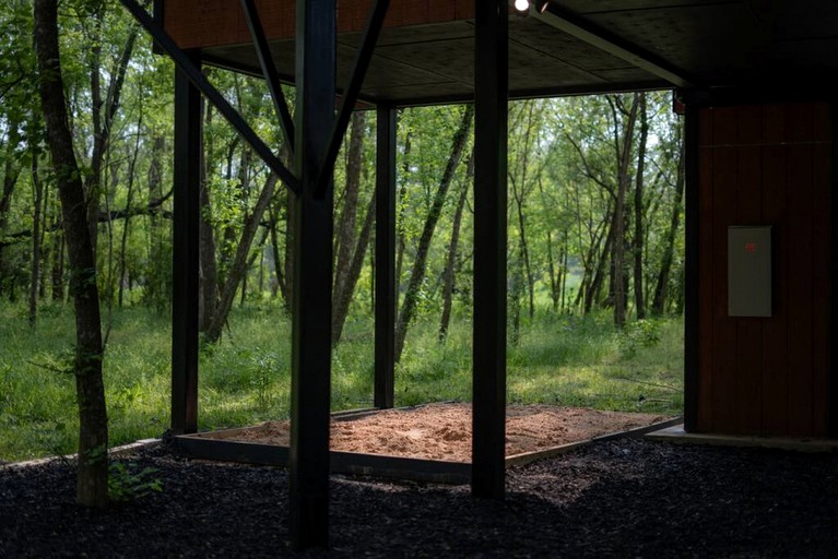 Tree Houses (United States of America, Groesbeck, Texas)