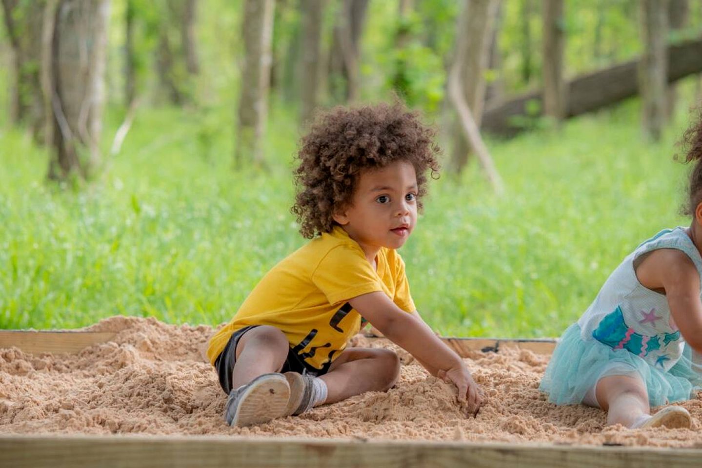 Spectacular Luxurious Tree House with Jacuzzi and Fire Pit in Texas