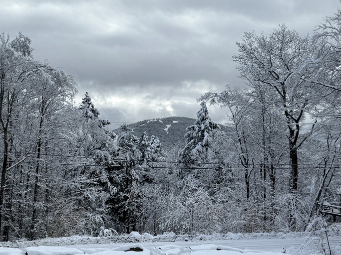 Barns (United States of America, Bridgton, Maine)