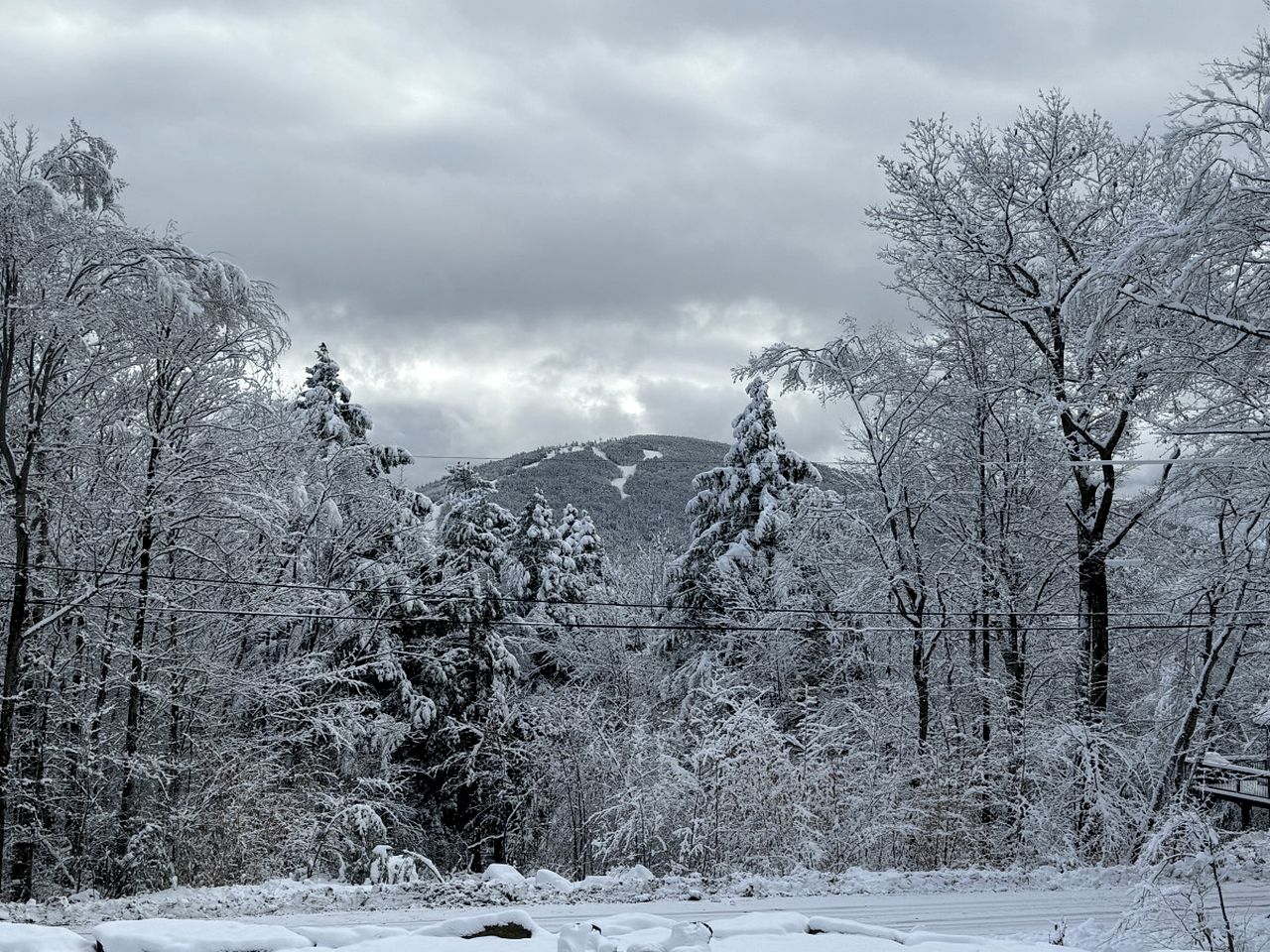Spectacular Modern Barn Nestled in the Trees in Bridgton, Maine