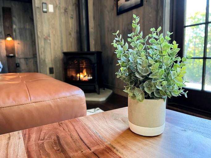 Barns (United States of America, Bridgton, Maine)