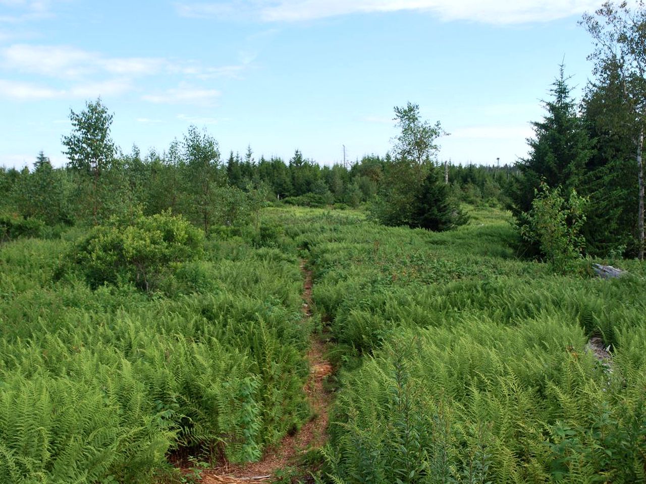 Beautiful Private Retreat with Private Beaches and Boat on McGee Island, Maine