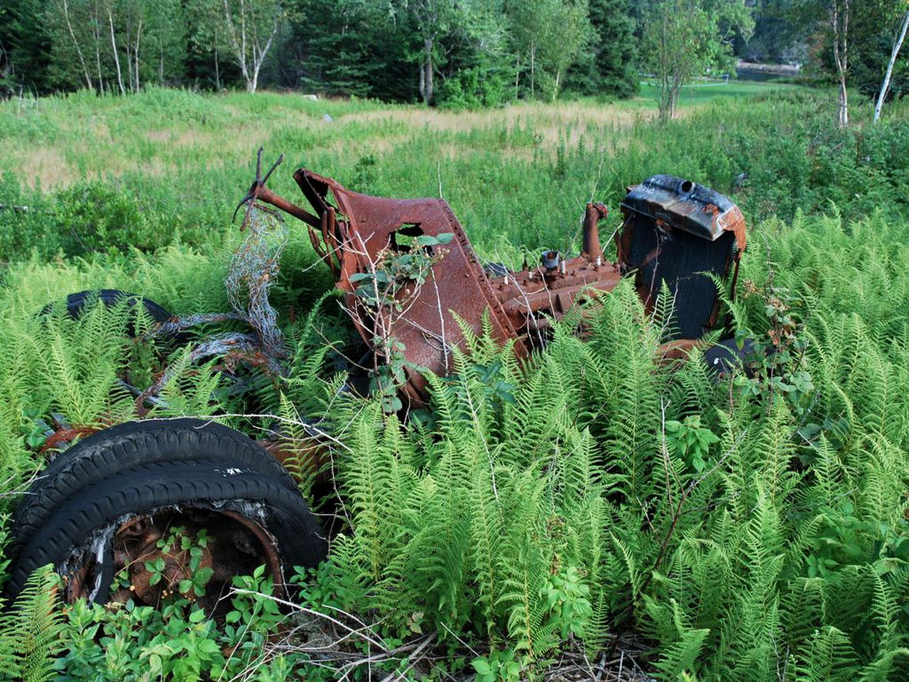 Beautiful Private Retreat with Private Beaches and Boat on McGee Island, Maine