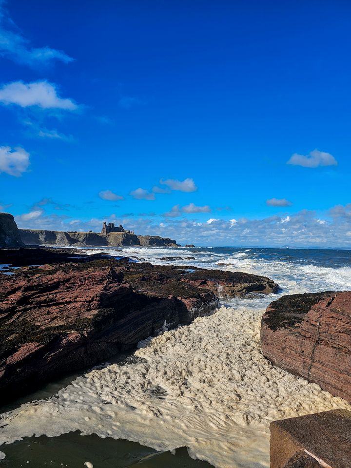 Spectacular Secluded Cottage in East Lothian, Scotland