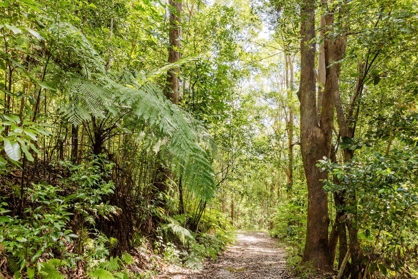 Spetacular Secluded Tiny House in Cudgera Creek, New South Wales