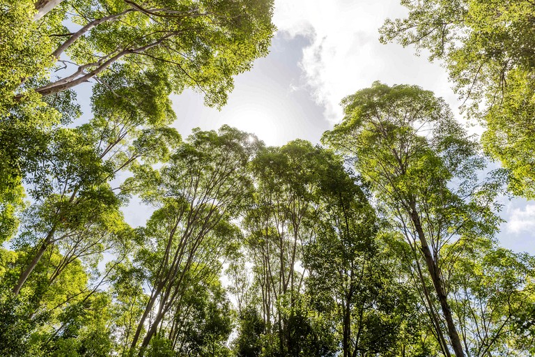 Tiny Houses (Australia, Cudgera Creek, New South Wales)