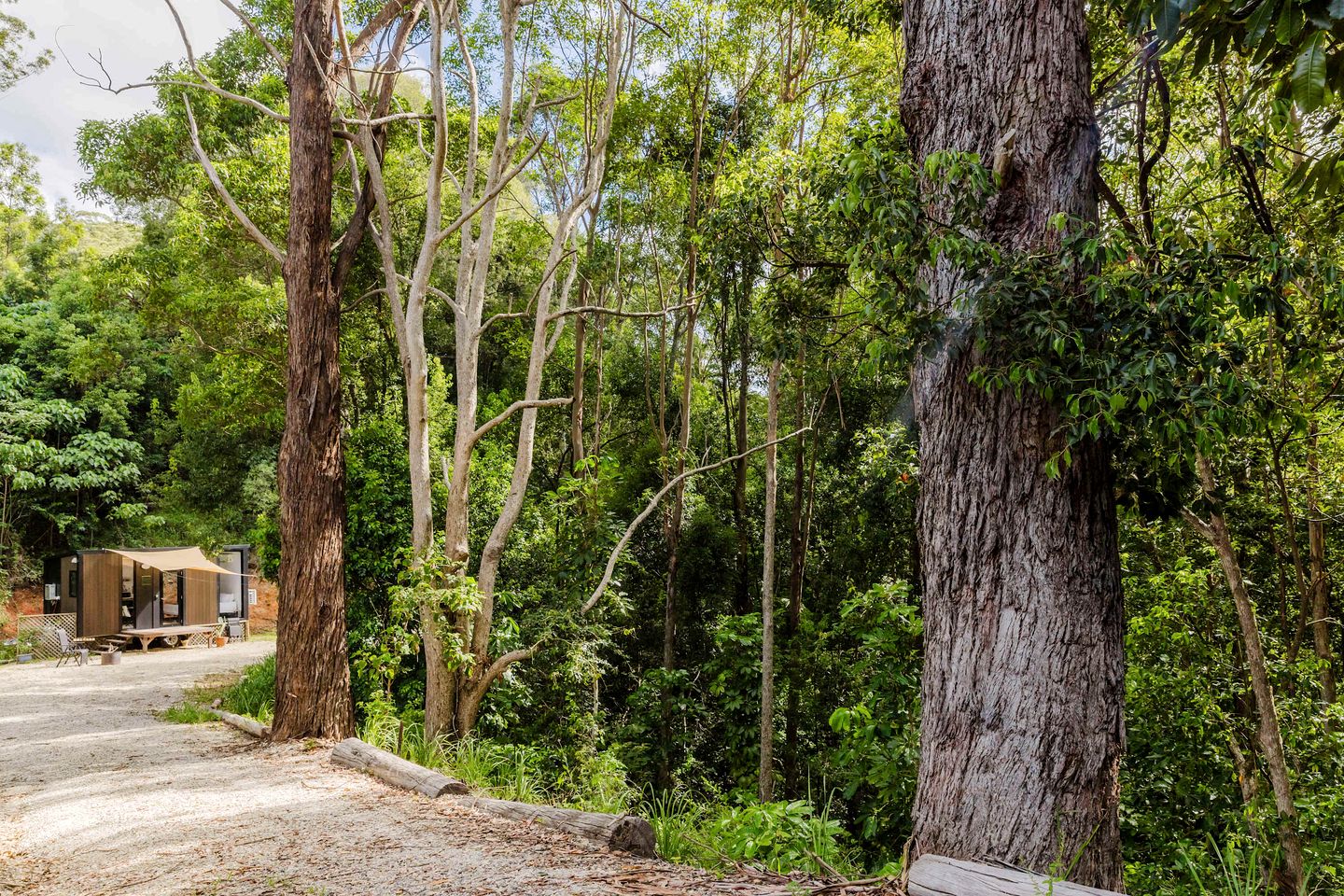 Spetacular Secluded Tiny House in Cudgera Creek, New South Wales